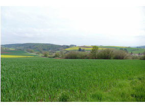 Bittprozession an der Weingartenkapelle (Foto: Karl-Franz Thiede)